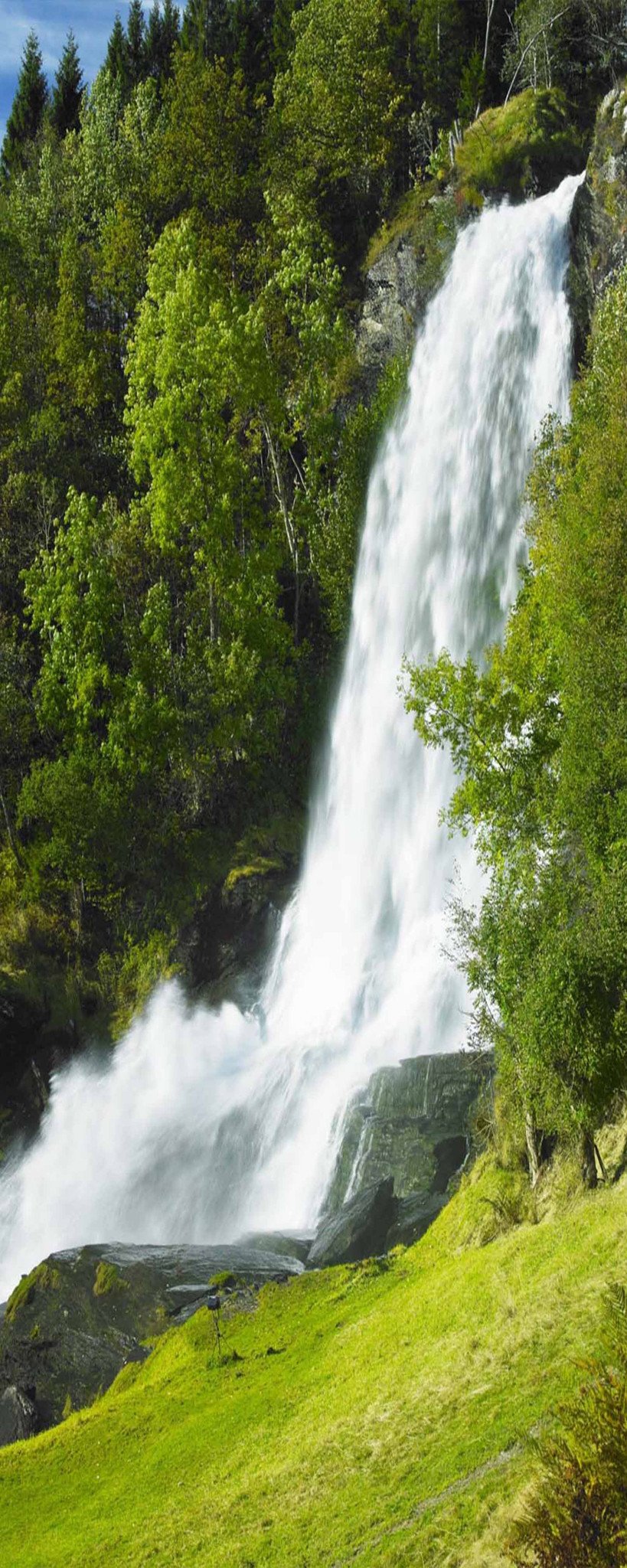 3D Pentium Waterfall 938 Stair Risers Wallpaper AJ Wallpaper 