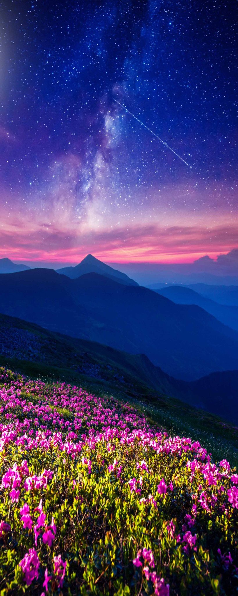 3D Mountain Flowers Stars Sky 922 Stair Risers Wallpaper AJ Wallpaper 
