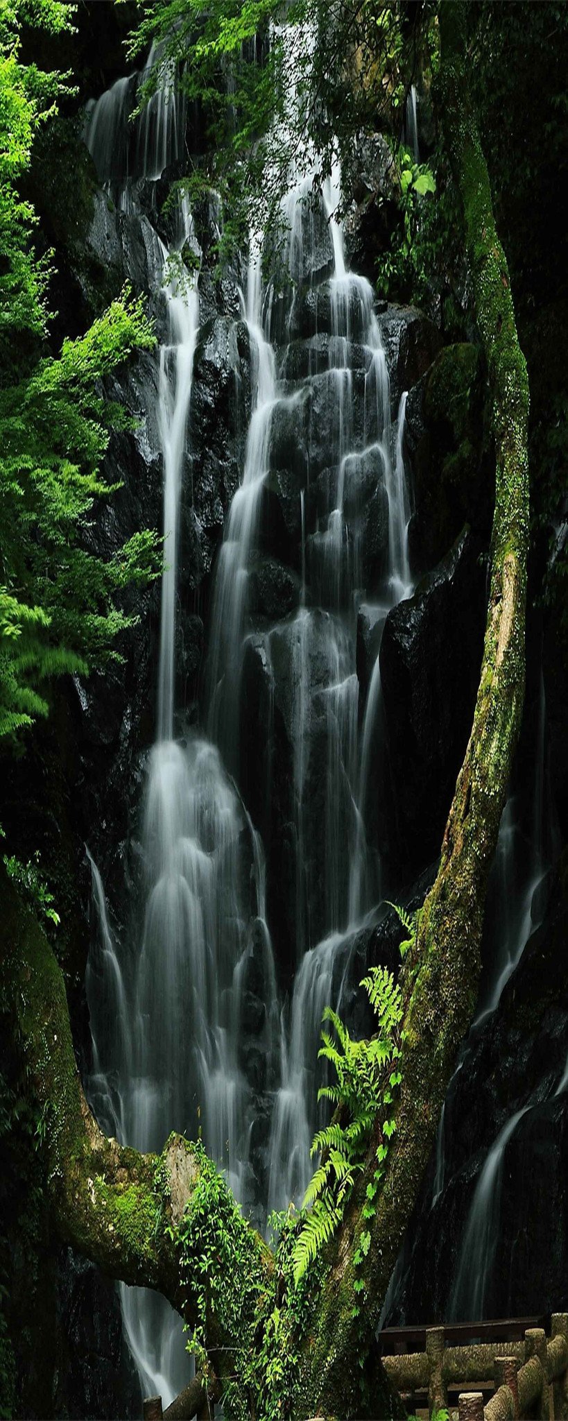 3D Mountain Hidden Waterfall 908 Stair Risers Wallpaper AJ Wallpaper 