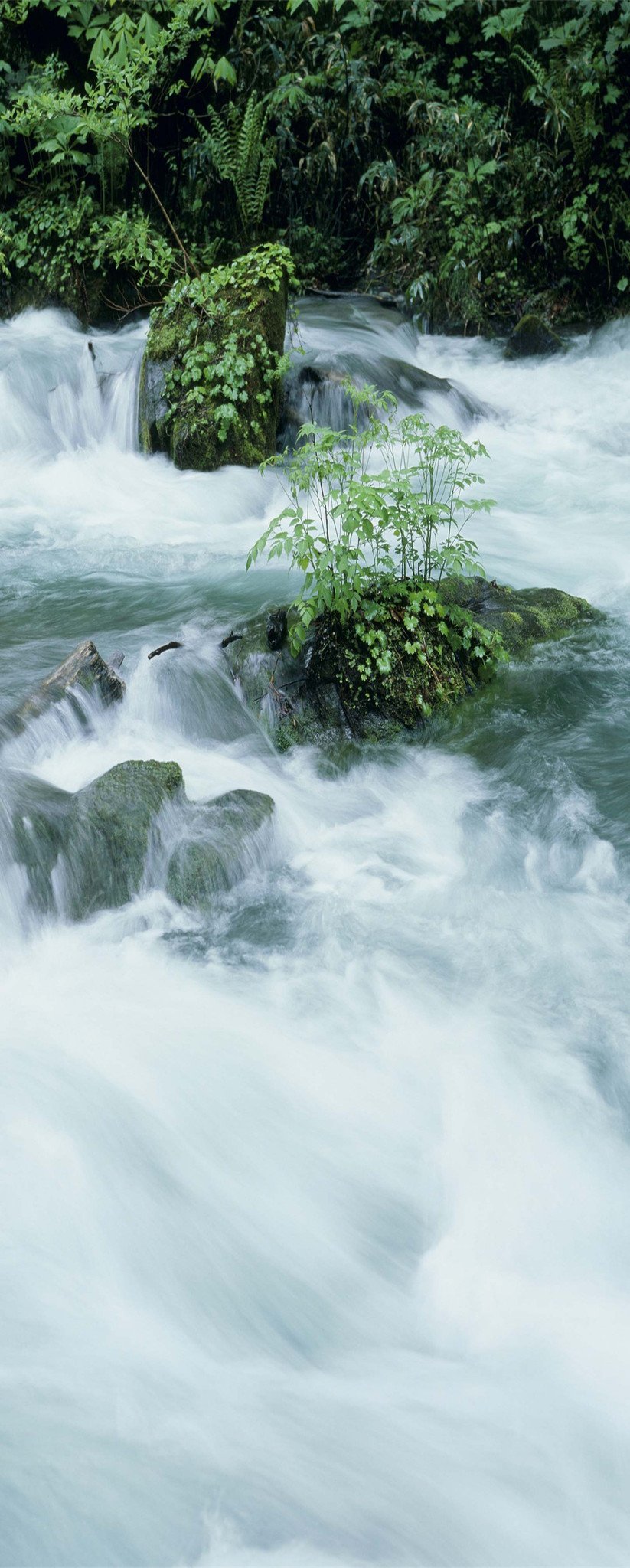 3D Abundant River 902 Stair Risers Wallpaper AJ Wallpaper 