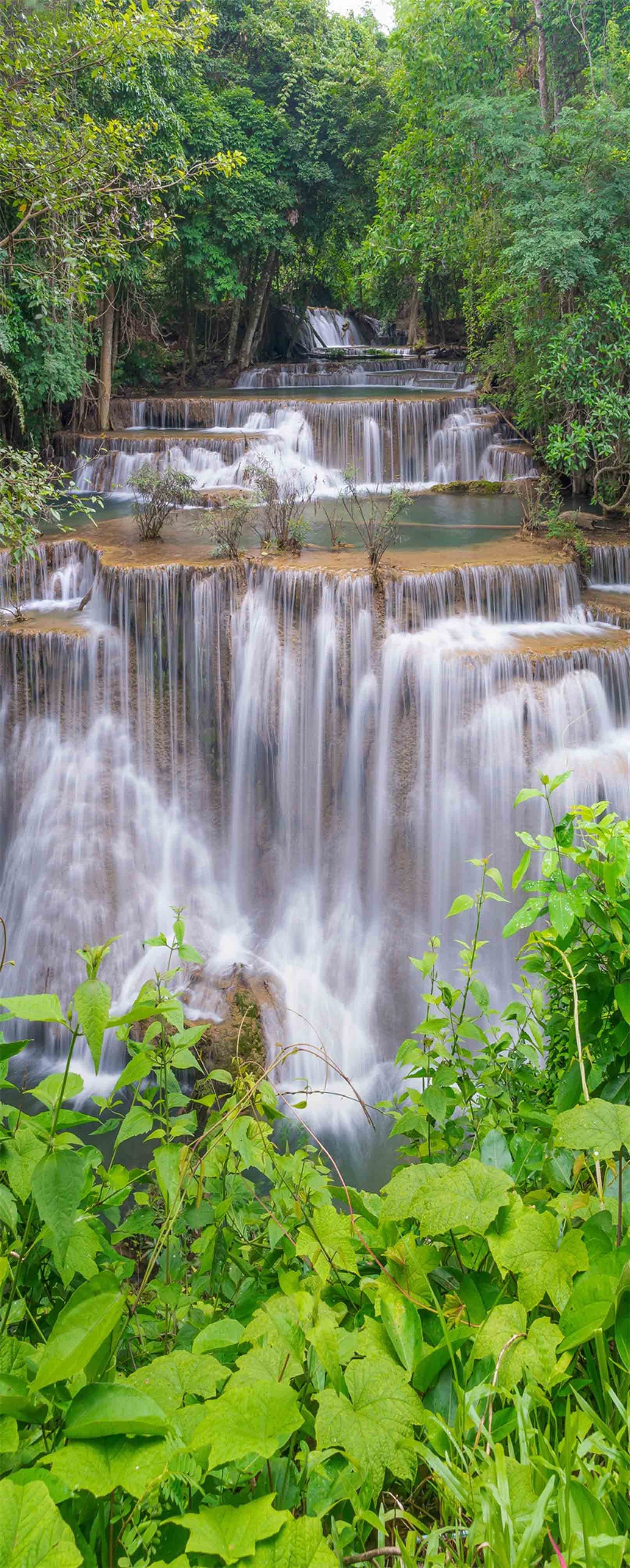 3D Green Plants Clear Waterfalls 712 Stair Risers Wallpaper AJ Wallpaper 