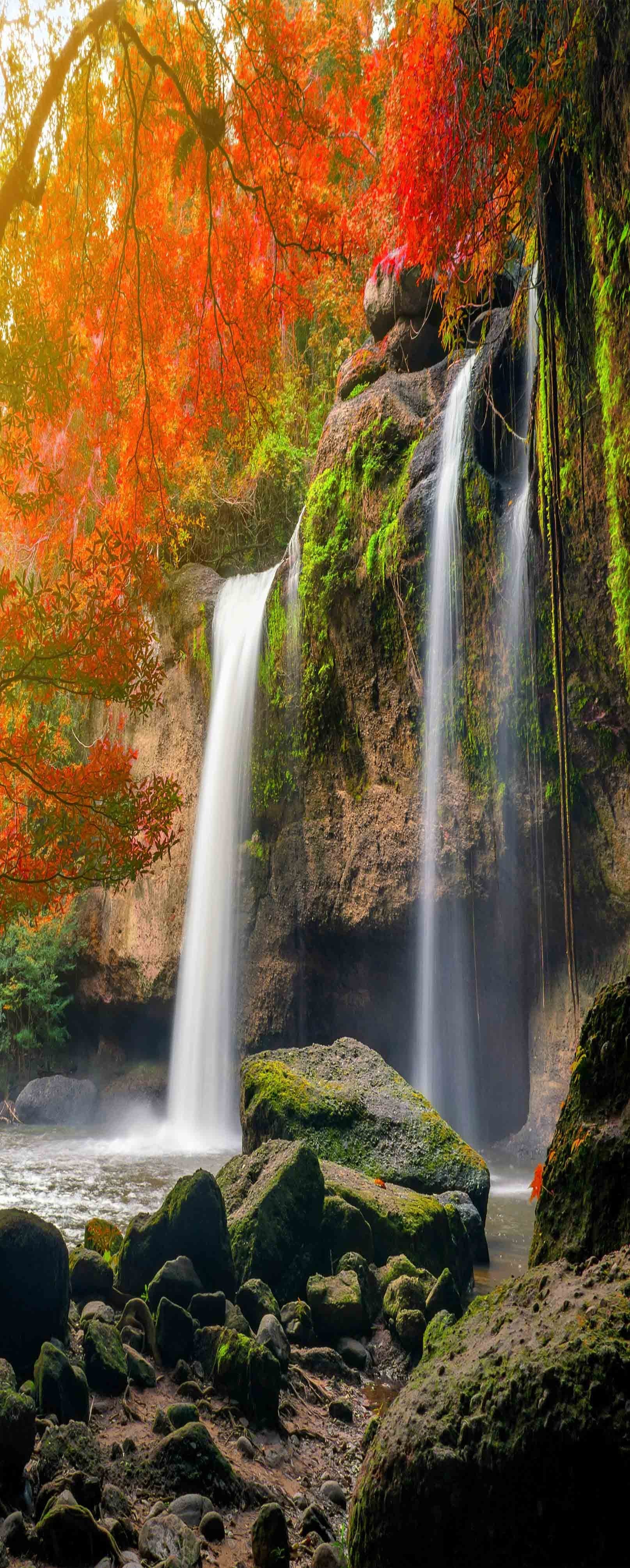 3D Pretty Trees Waterfalls 877 Stair Risers Wallpaper AJ Wallpaper 