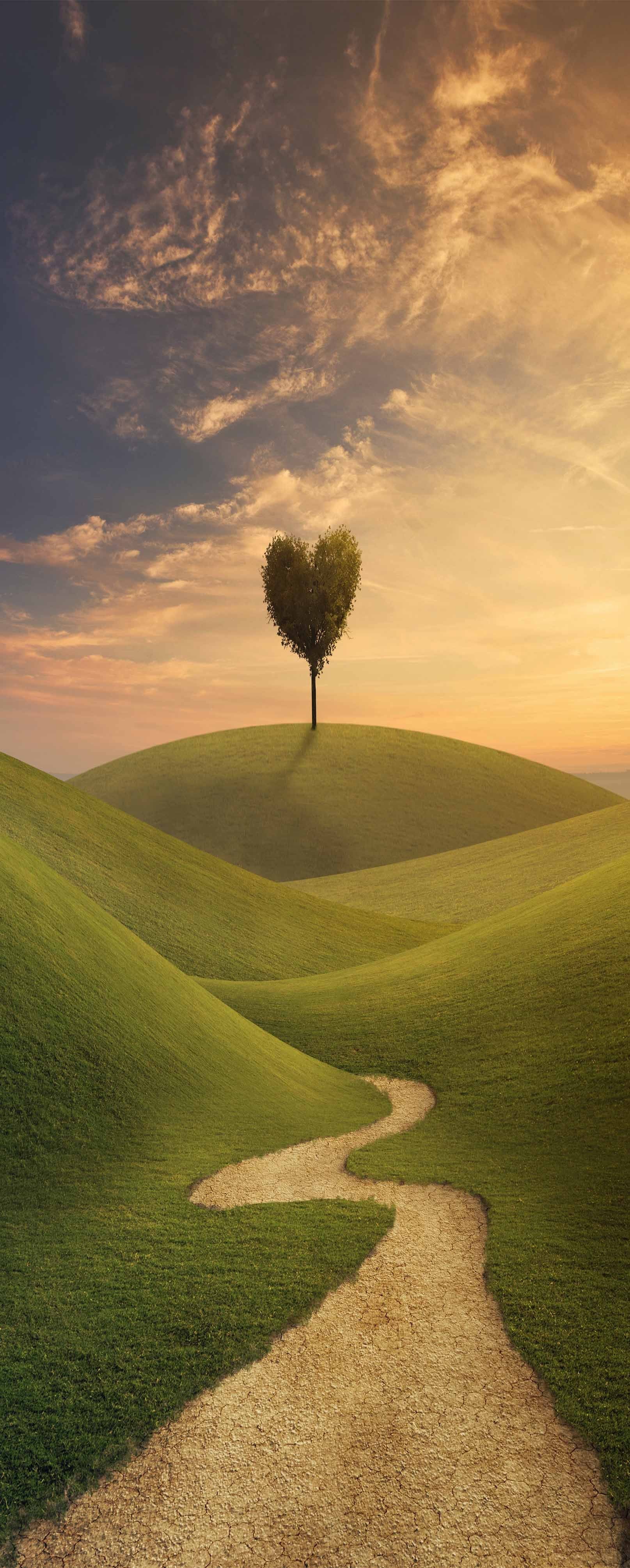 3D Heart Shape Tree 791 Stair Risers Wallpaper AJ Wallpaper 