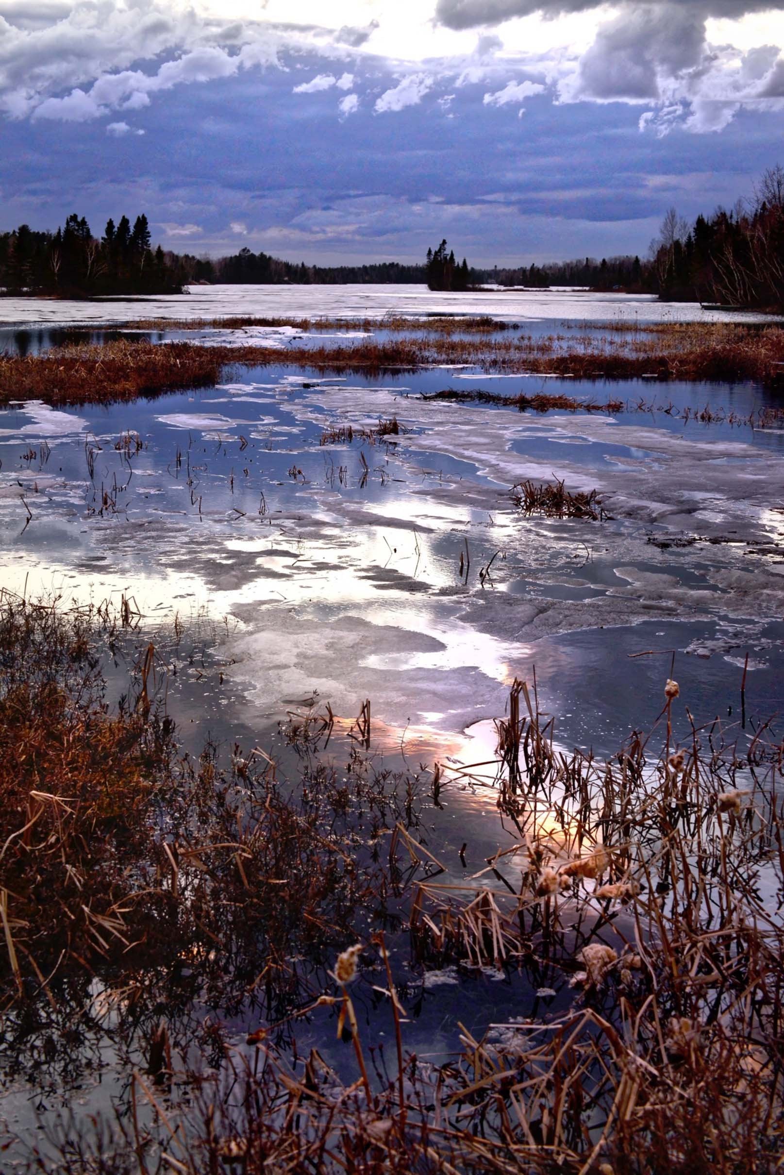 3D Lake Weeds 733 Stair Risers Wallpaper AJ Wallpaper 