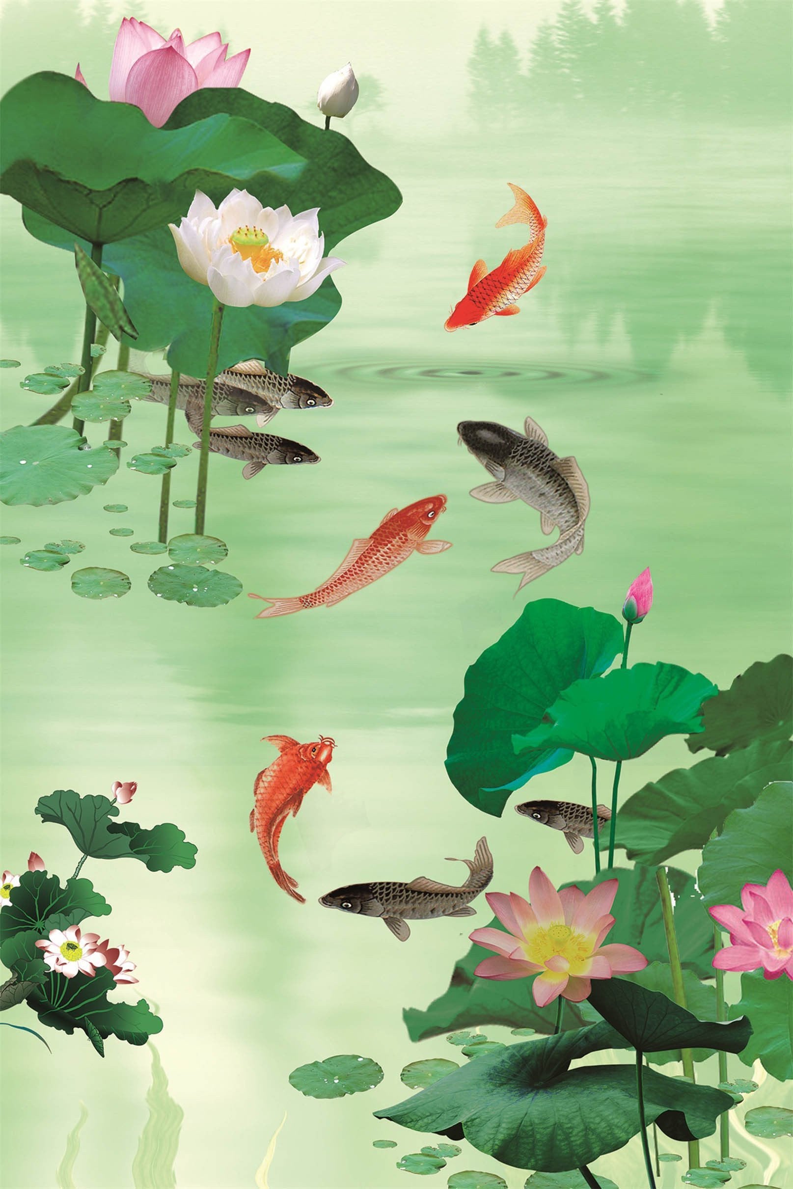 3D Lotus Pond Fishes 1311 Stair Risers Wallpaper AJ Wallpaper 