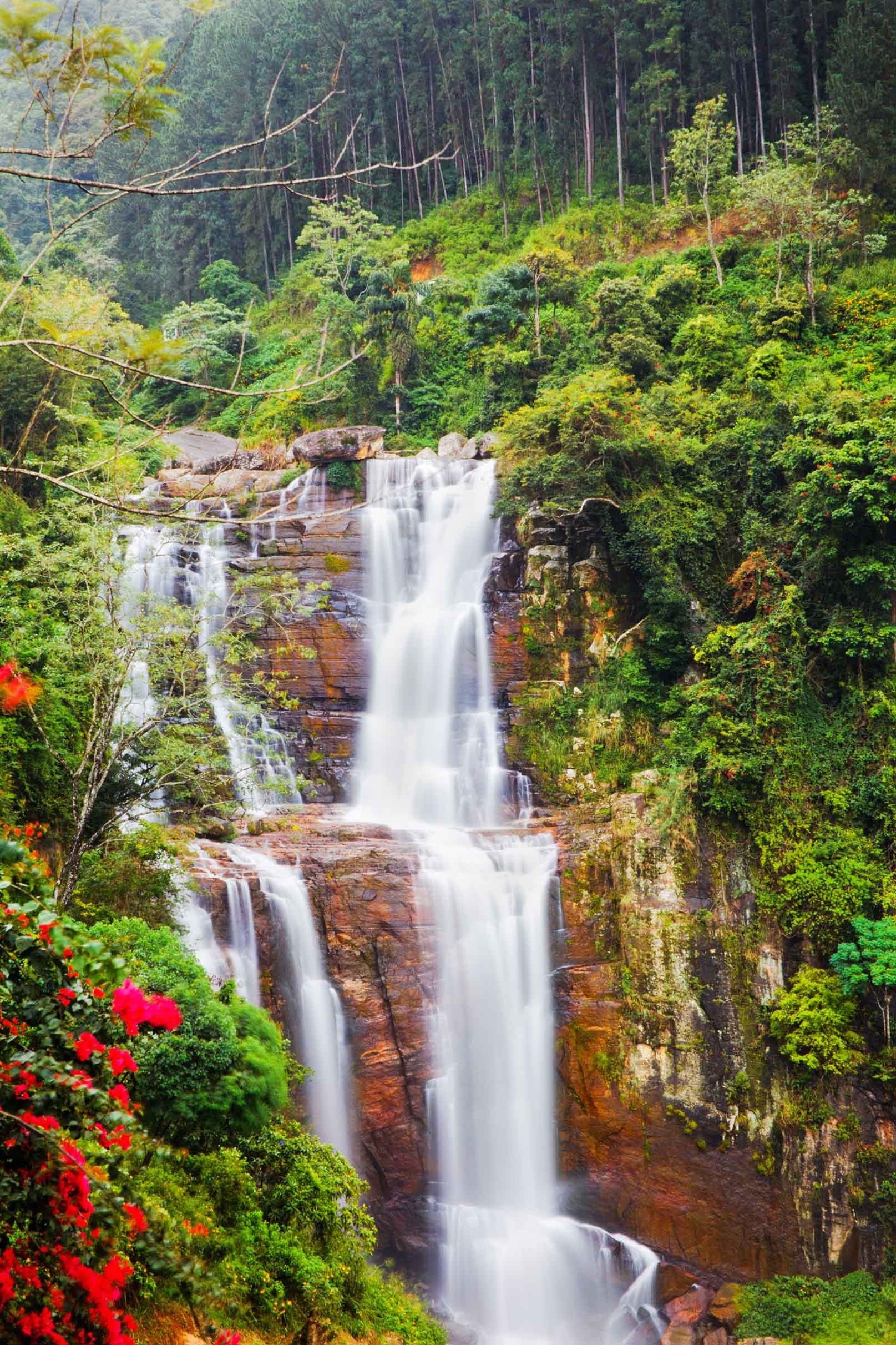 3D Forest Rugged Waterfall 1192 Stair Risers Wallpaper AJ Wallpaper 