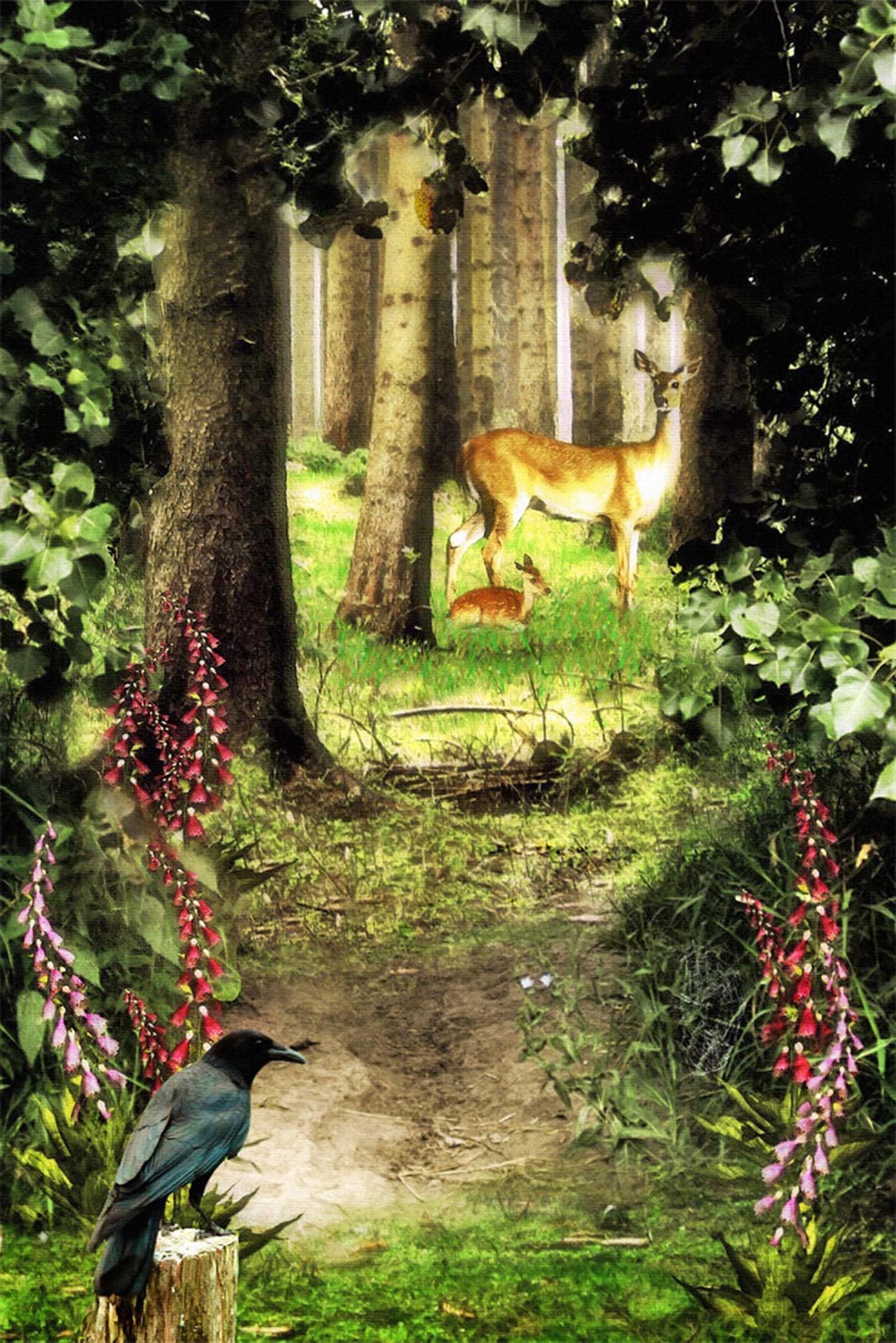 3D Forest Animals 1178 Stair Risers Wallpaper AJ Wallpaper 