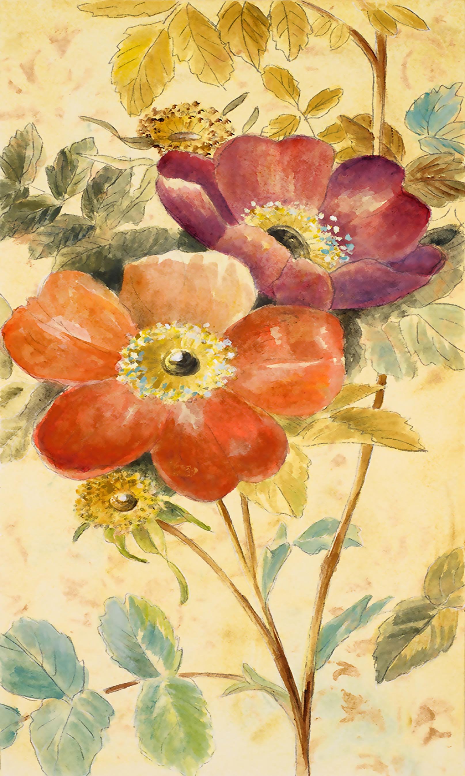 3D Flowers Painting 1165 Stair Risers Wallpaper AJ Wallpaper 