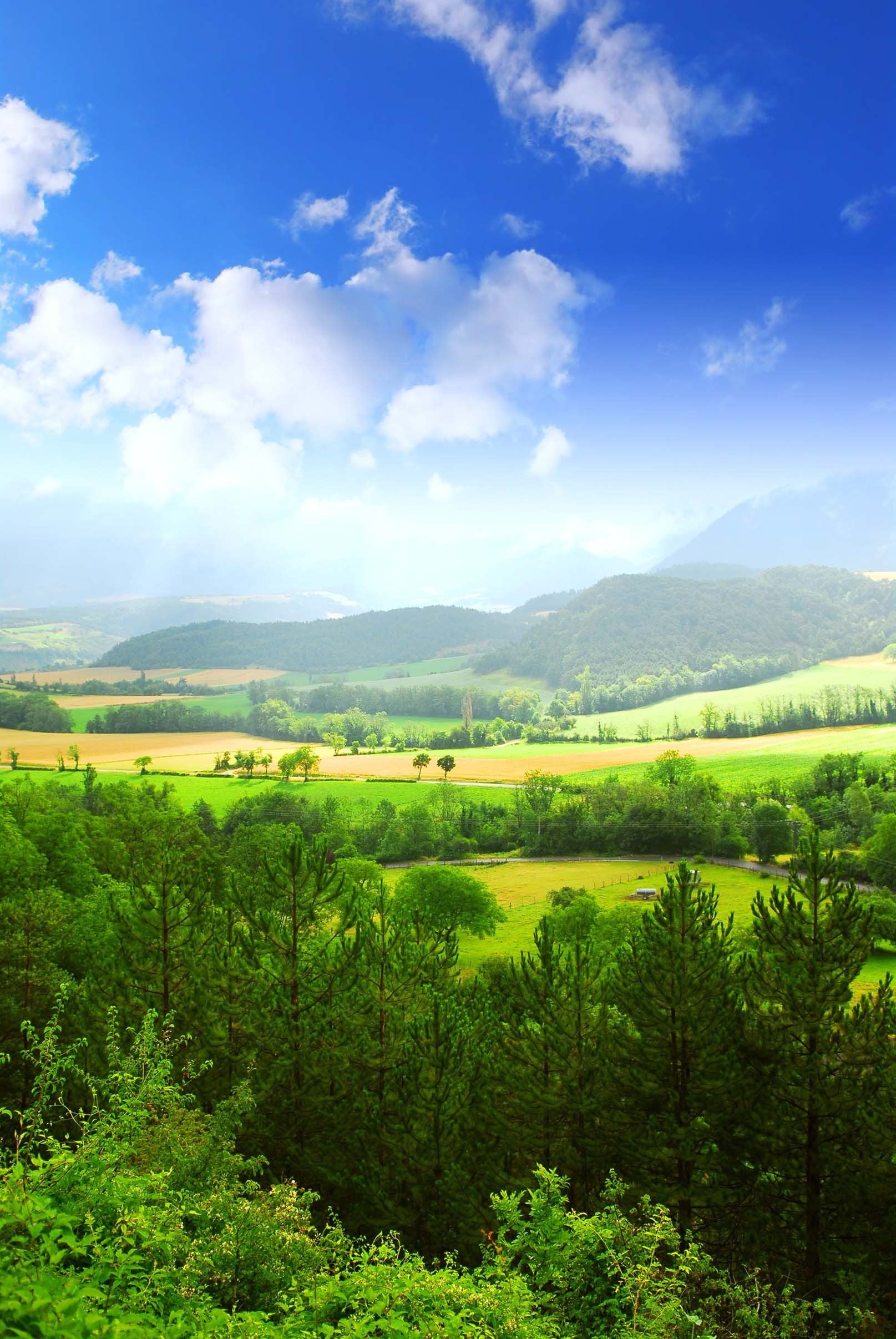 3D Farmland Scenery 1169 Stair Risers Wallpaper AJ Wallpaper 