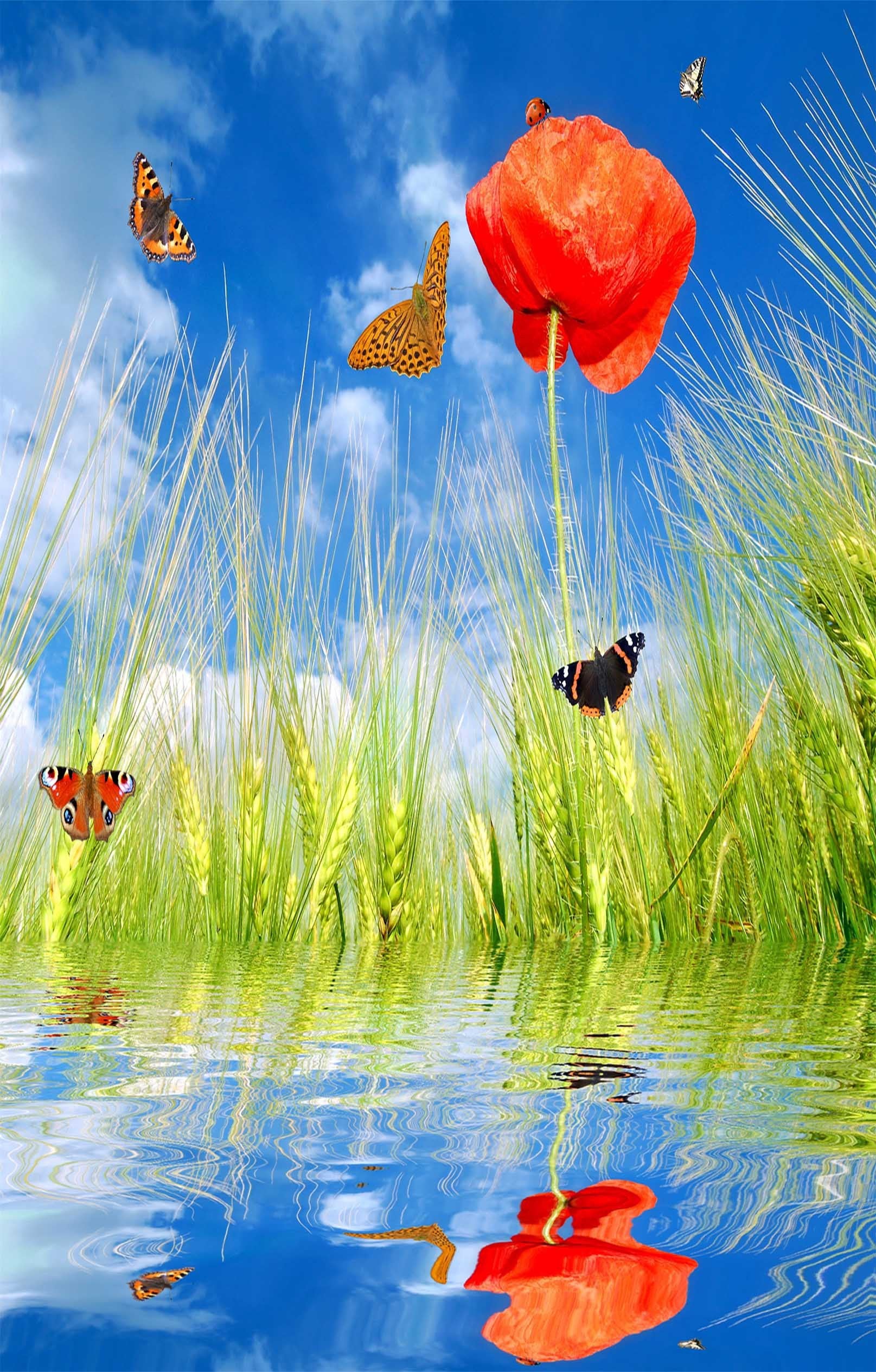 3D Flower Wheat Butterflies 1162 Stair Risers Wallpaper AJ Wallpaper 