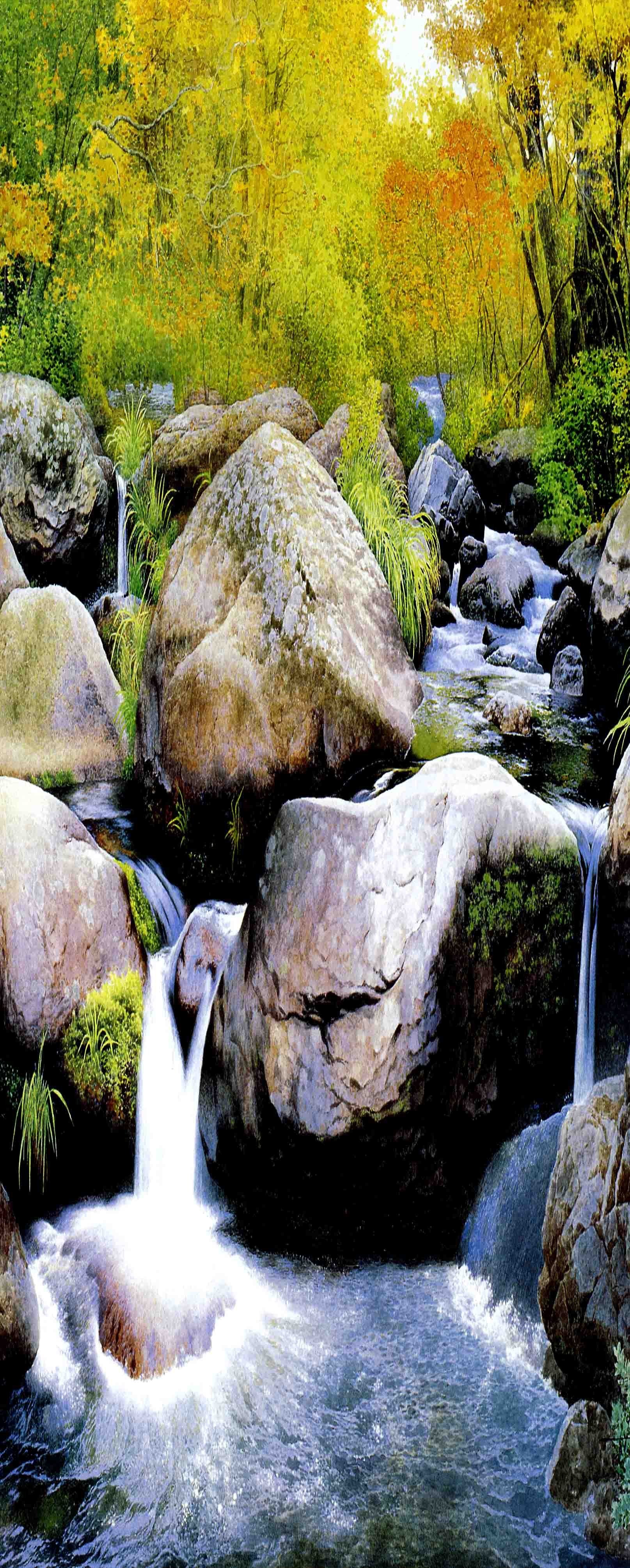 3D Forest River Rocks 1159 Stair Risers Wallpaper AJ Wallpaper 