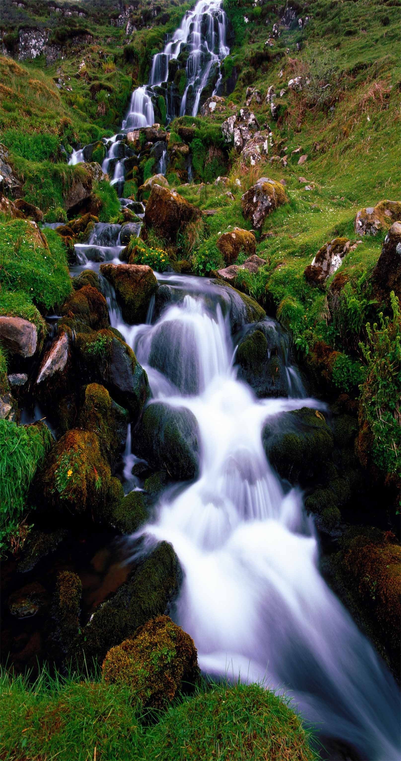 3D Beautiful Stream 1445 Stair Risers Wallpaper AJ Wallpaper 