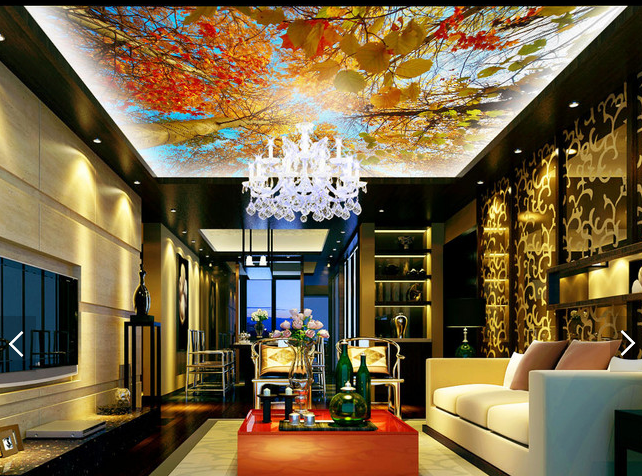 Sky Cloud Maple Tree 208 Wallpaper AJ Wallpaper 