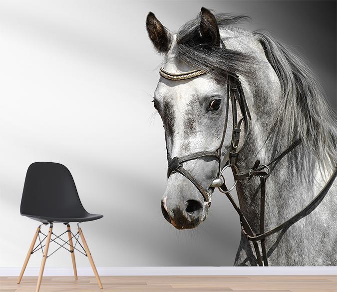 3D Horse Head 062 Wallpaper AJ Wallpaper 