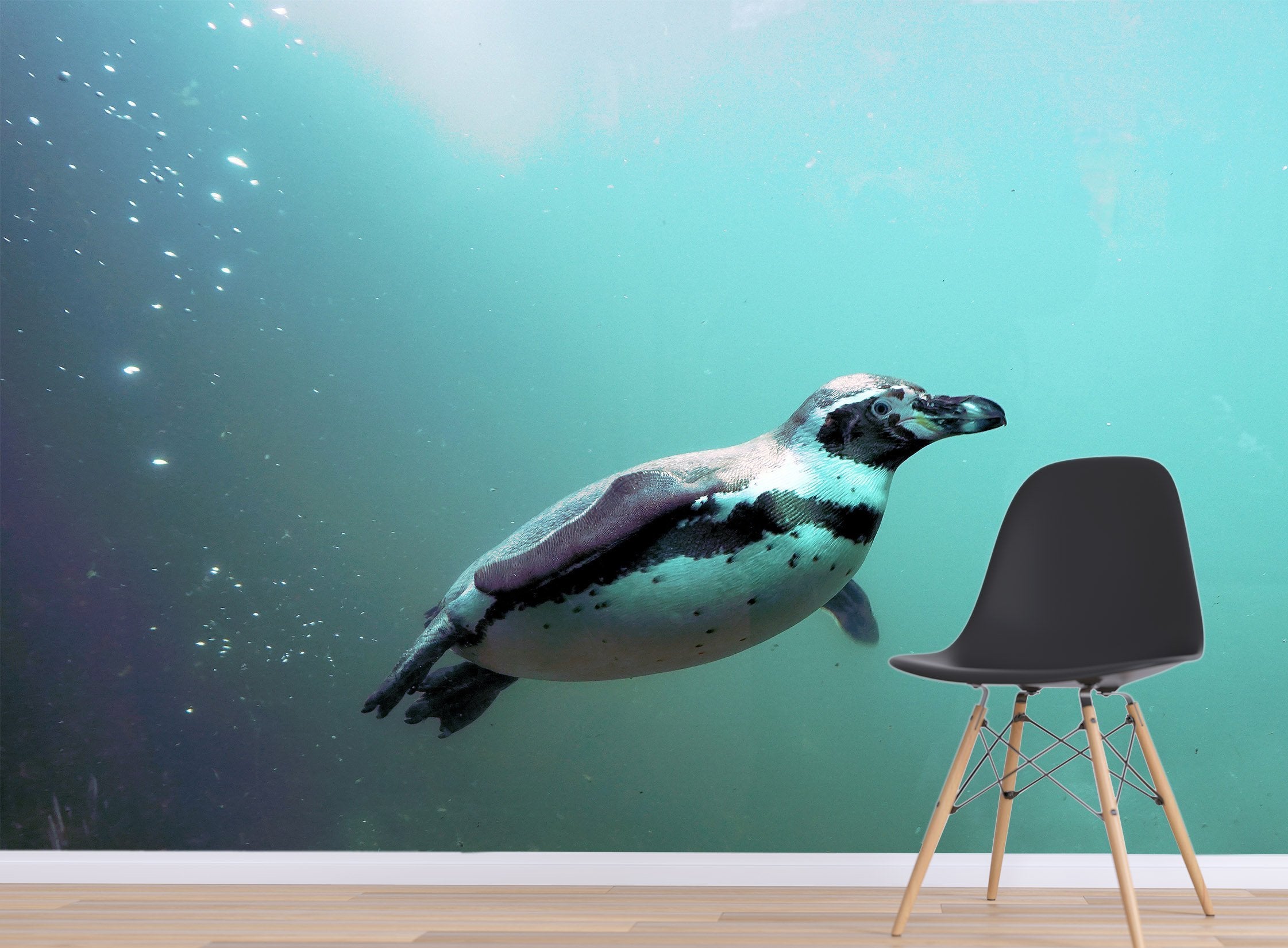 3D Swimming Seal 220 Wallpaper AJ Wallpaper 