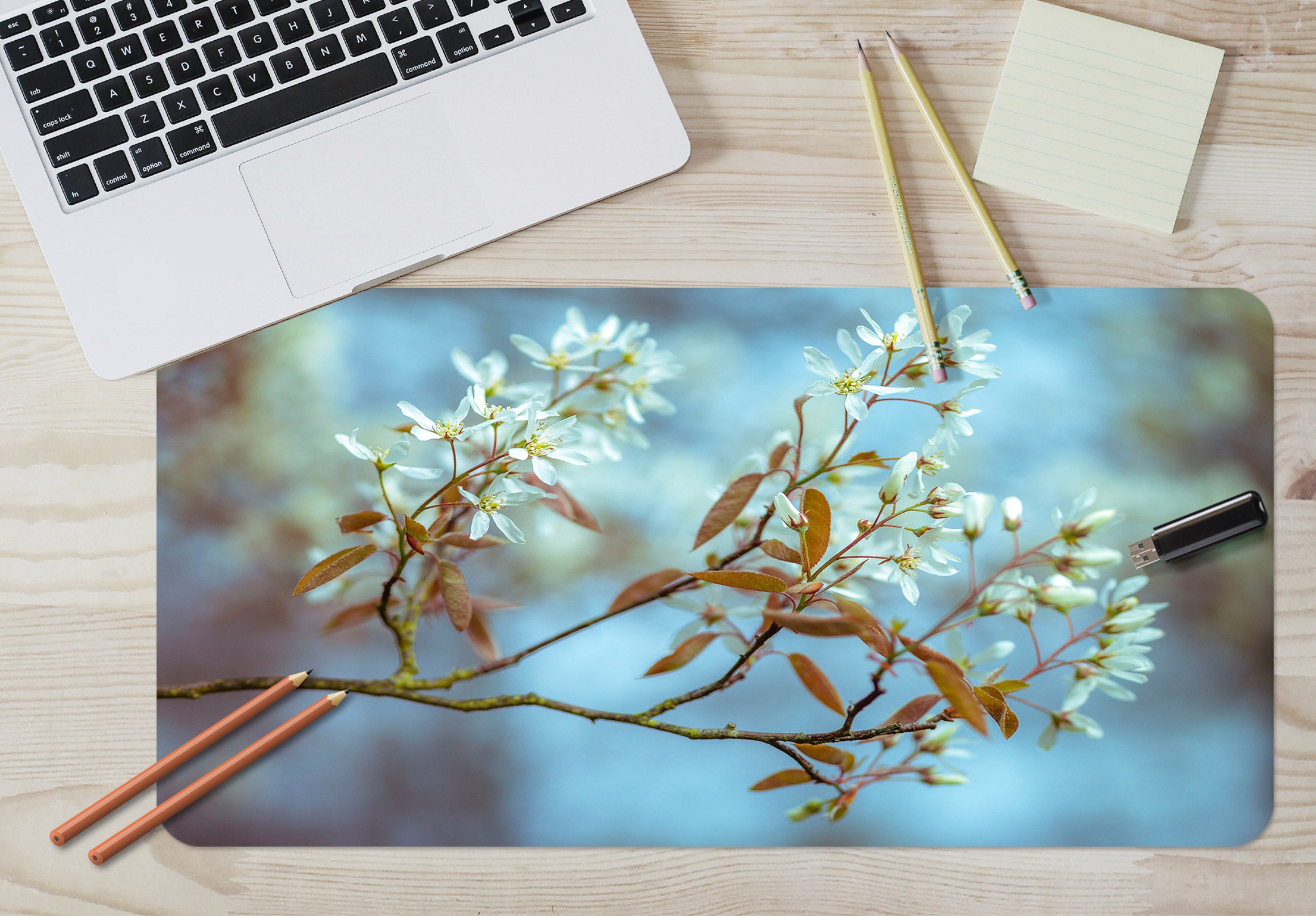 3D Flower Branch 123113 Assaf Frank Desk Mat