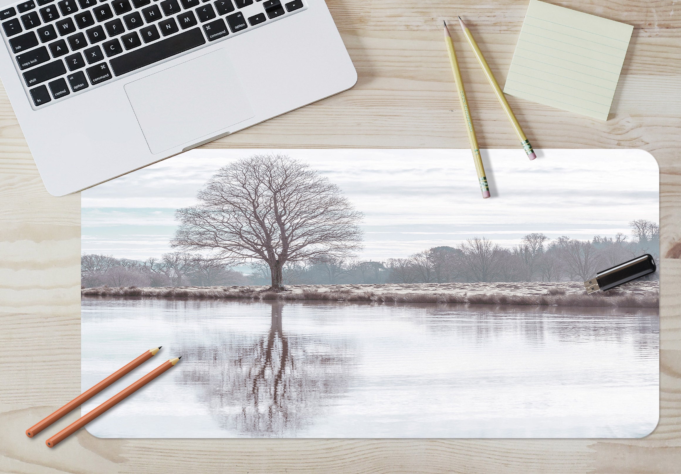 3D Lake Tree Shadow 12453 Assaf Frank Desk Mat