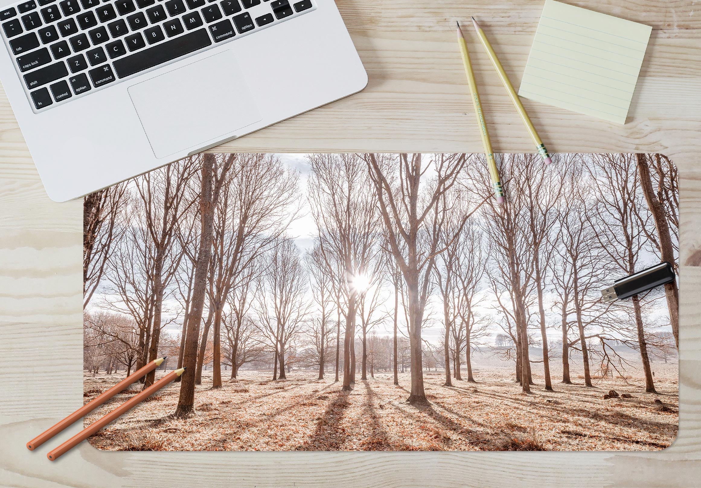 3D Dead Tree Forest 12463 Assaf Frank Desk Mat