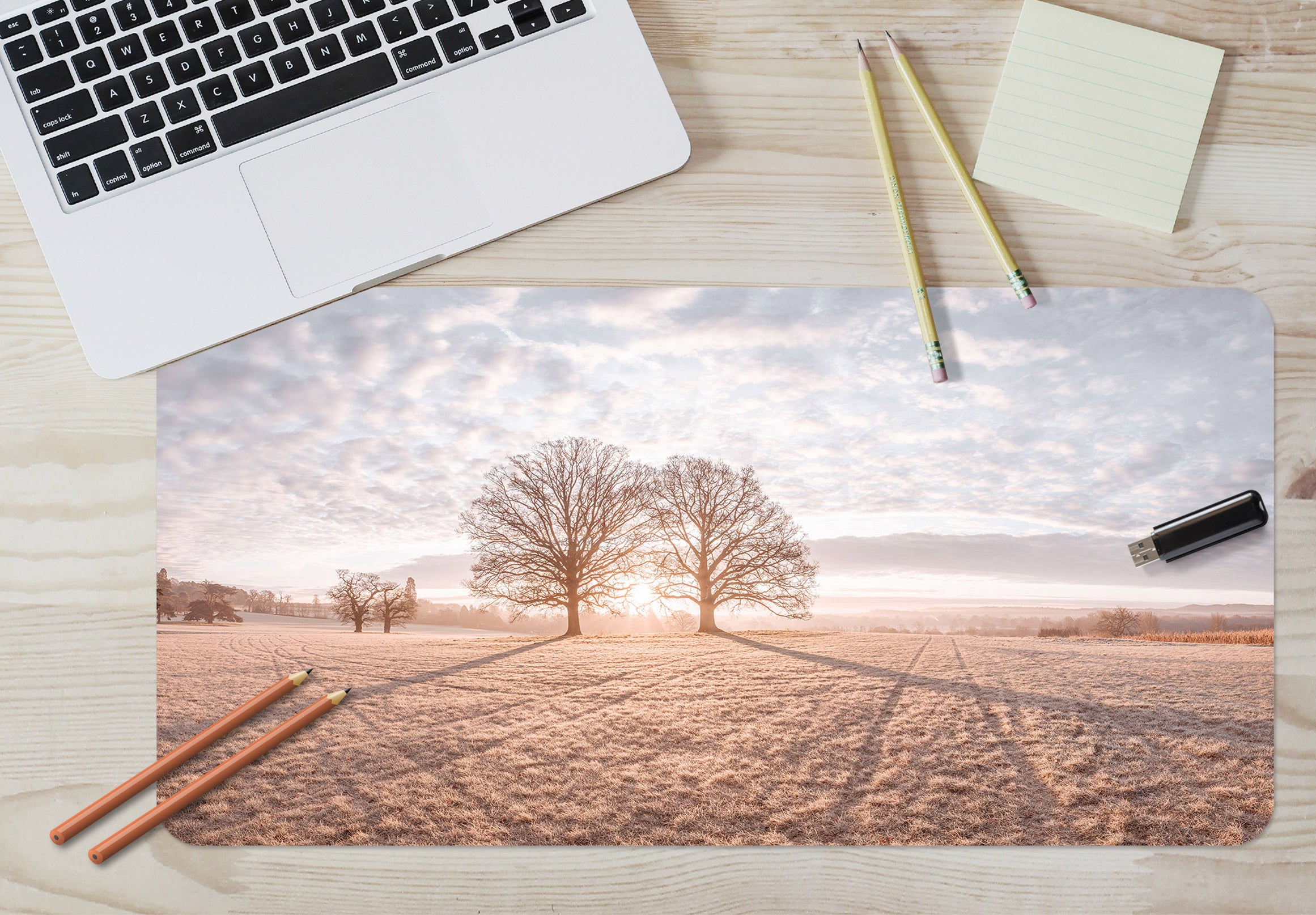 3D Sky Sunlight Lawn Tree 12455 Assaf Frank Desk Mat