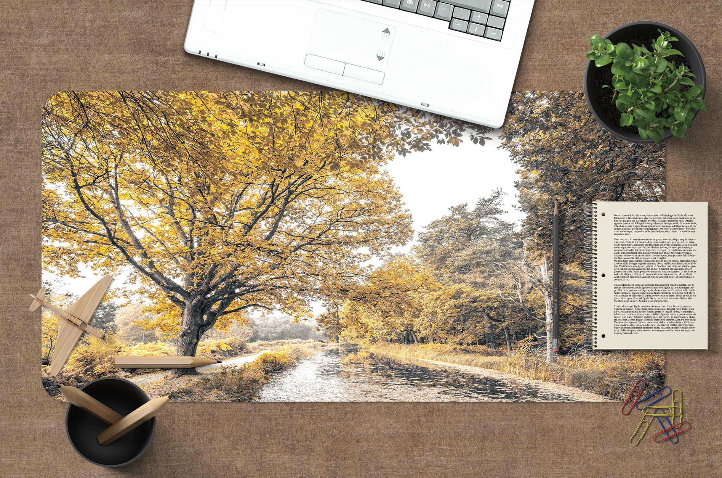3D Tree River 12414 Assaf Frank Desk Mat