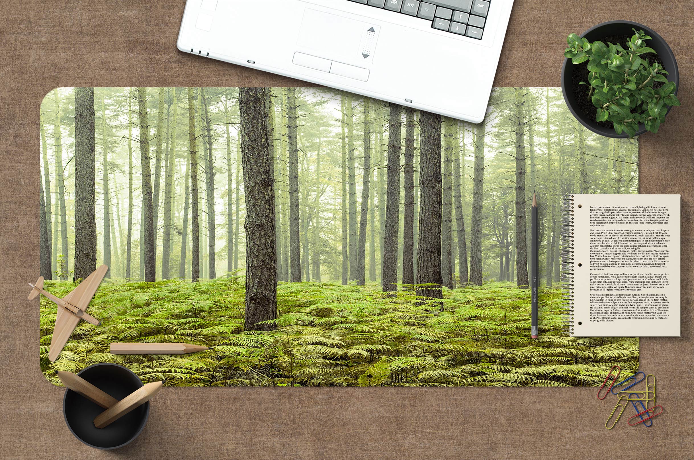 3D Woods Meadow 123110 Assaf Frank Desk Mat