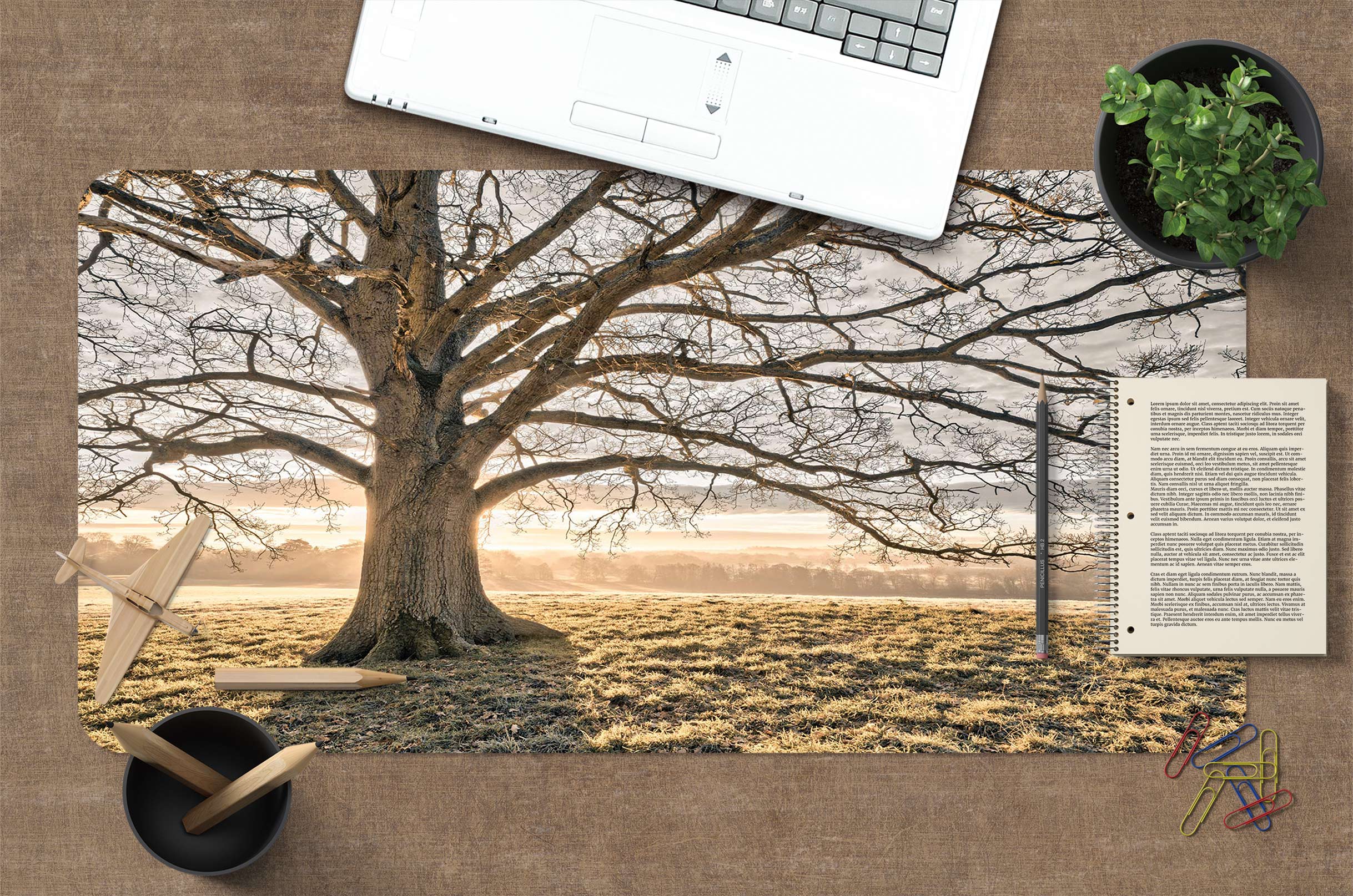 3D Lawn Big Tree 12460 Assaf Frank Desk Mat