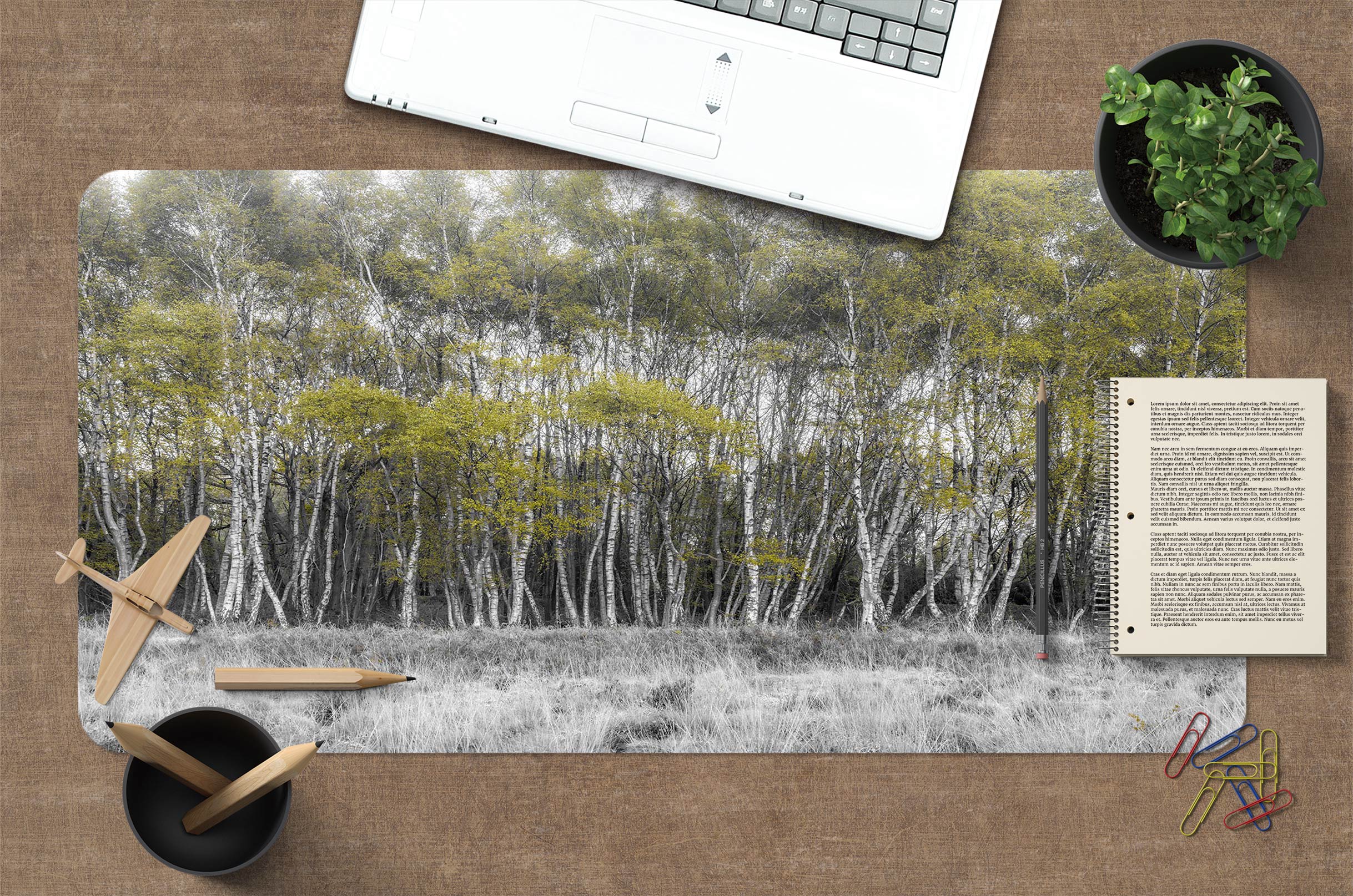 3D Forest 12432 Assaf Frank Desk Mat