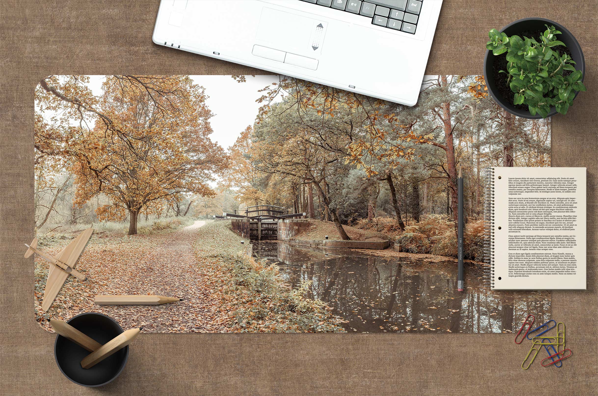 3D Creek Trees 12449 Assaf Frank Desk Mat
