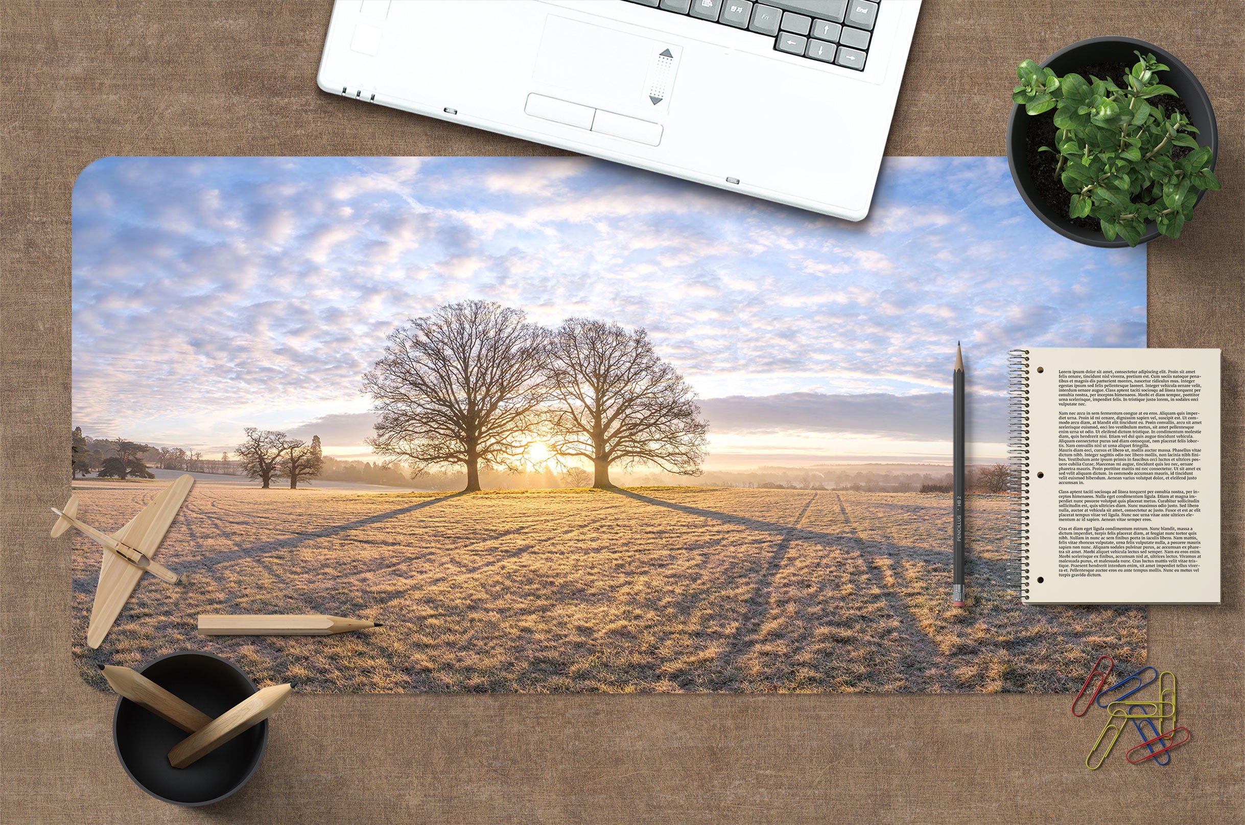 3D Sunlight Lawn Tree 12454 Assaf Frank Desk Mat