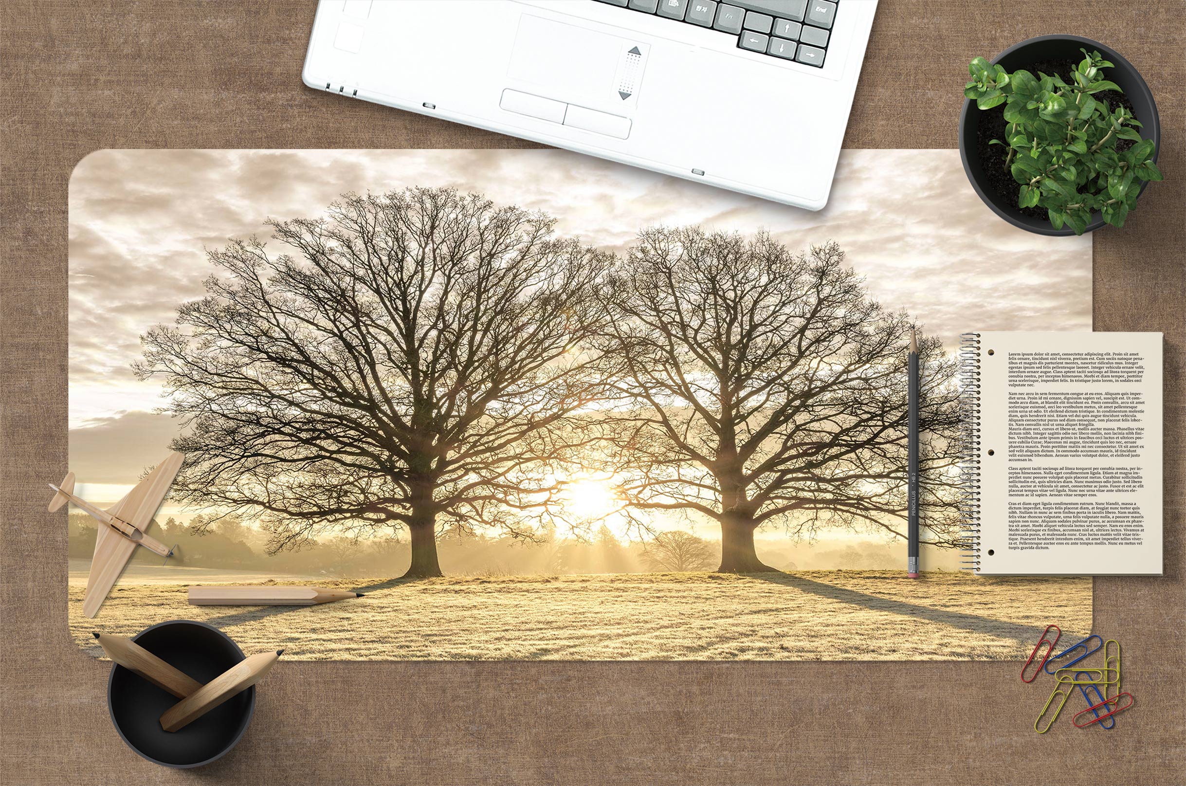 3D Sunset Tree Lawn 12458 Assaf Frank Desk Mat