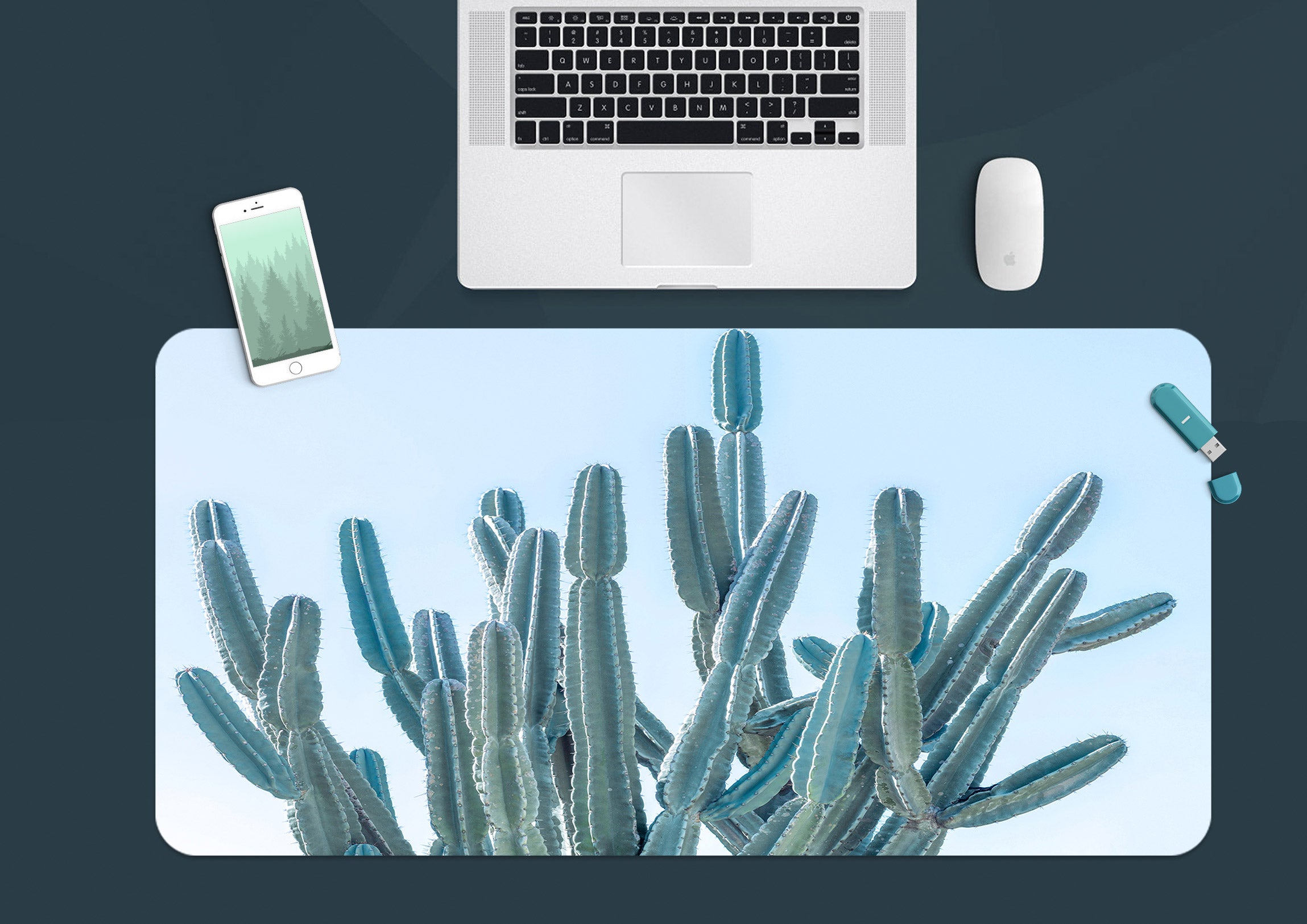 3D Cactus 12426 Assaf Frank Desk Mat