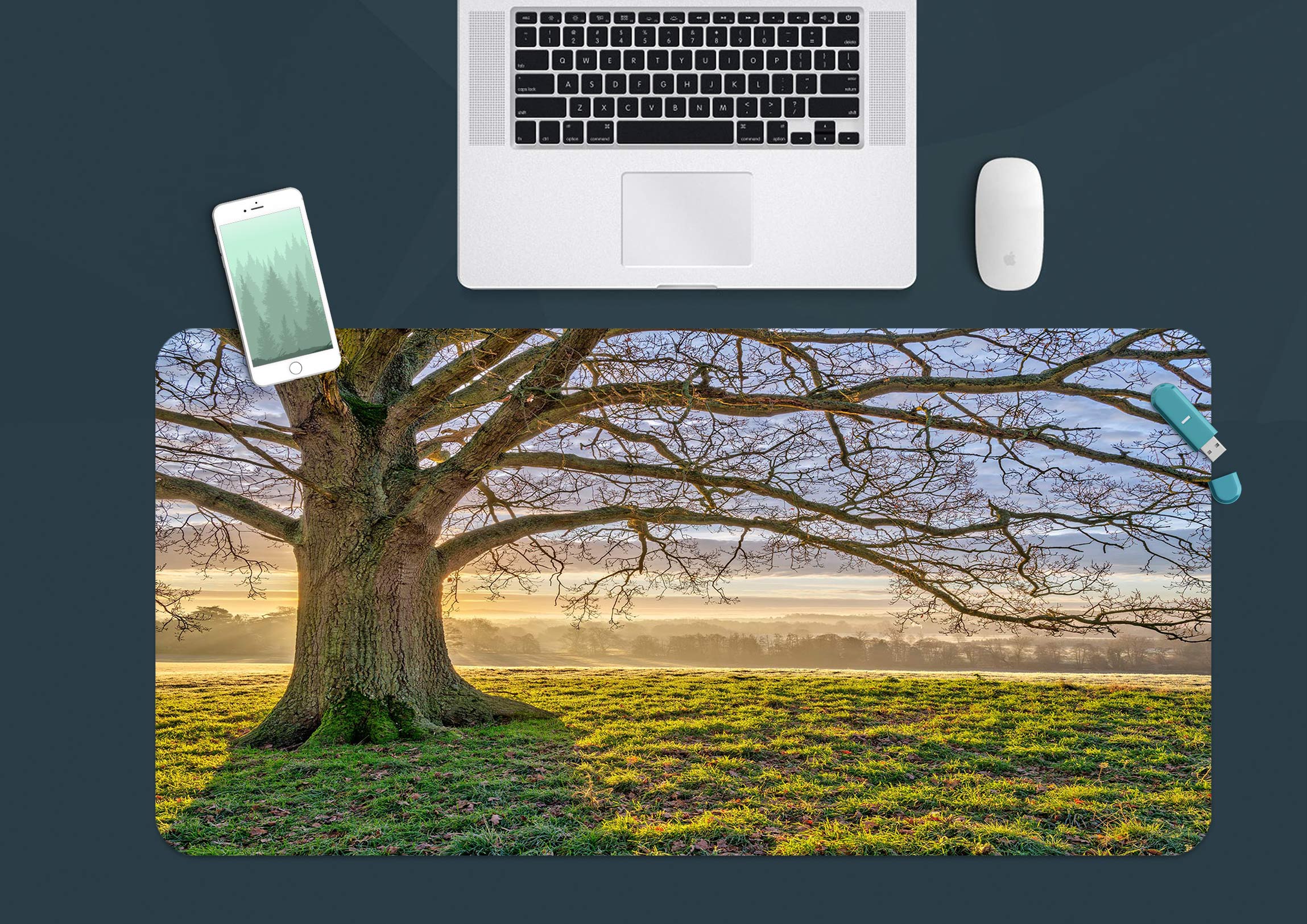 3D Green Grass Big Tree 12459 Assaf Frank Desk Mat