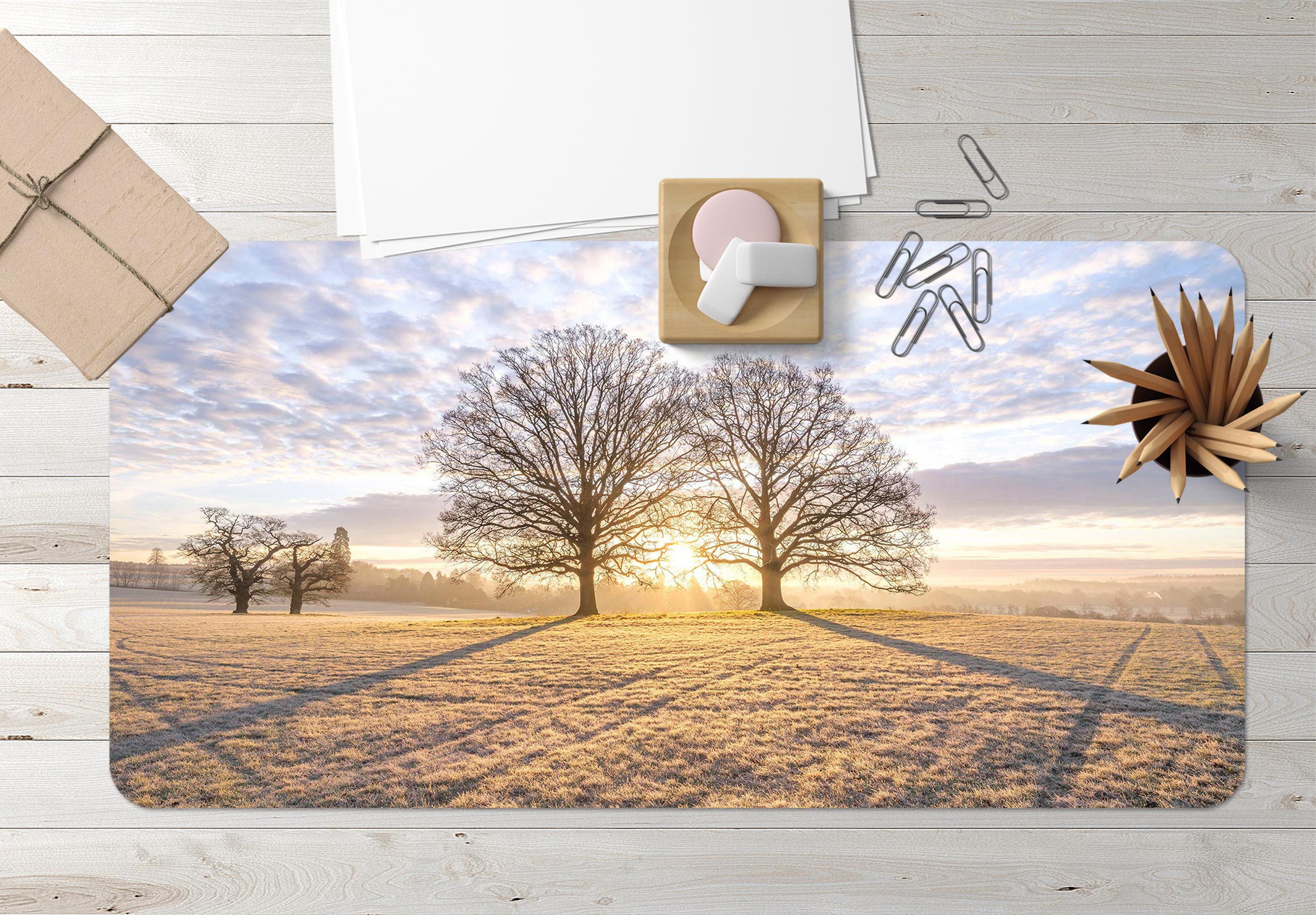 3D Sunshine Tree Shadow Lawn 12456 Assaf Frank Desk Mat