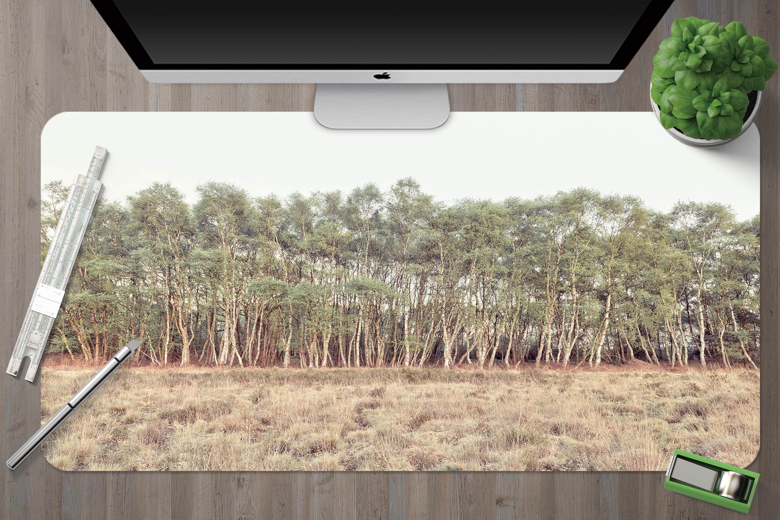 3D Grassland Forest 12433 Assaf Frank Desk Mat