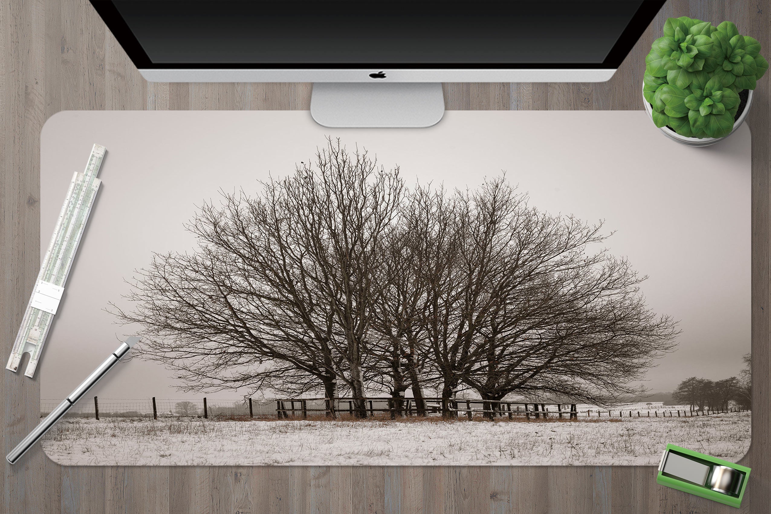 3D Trees Snow 12428 Assaf Frank Desk Mat
