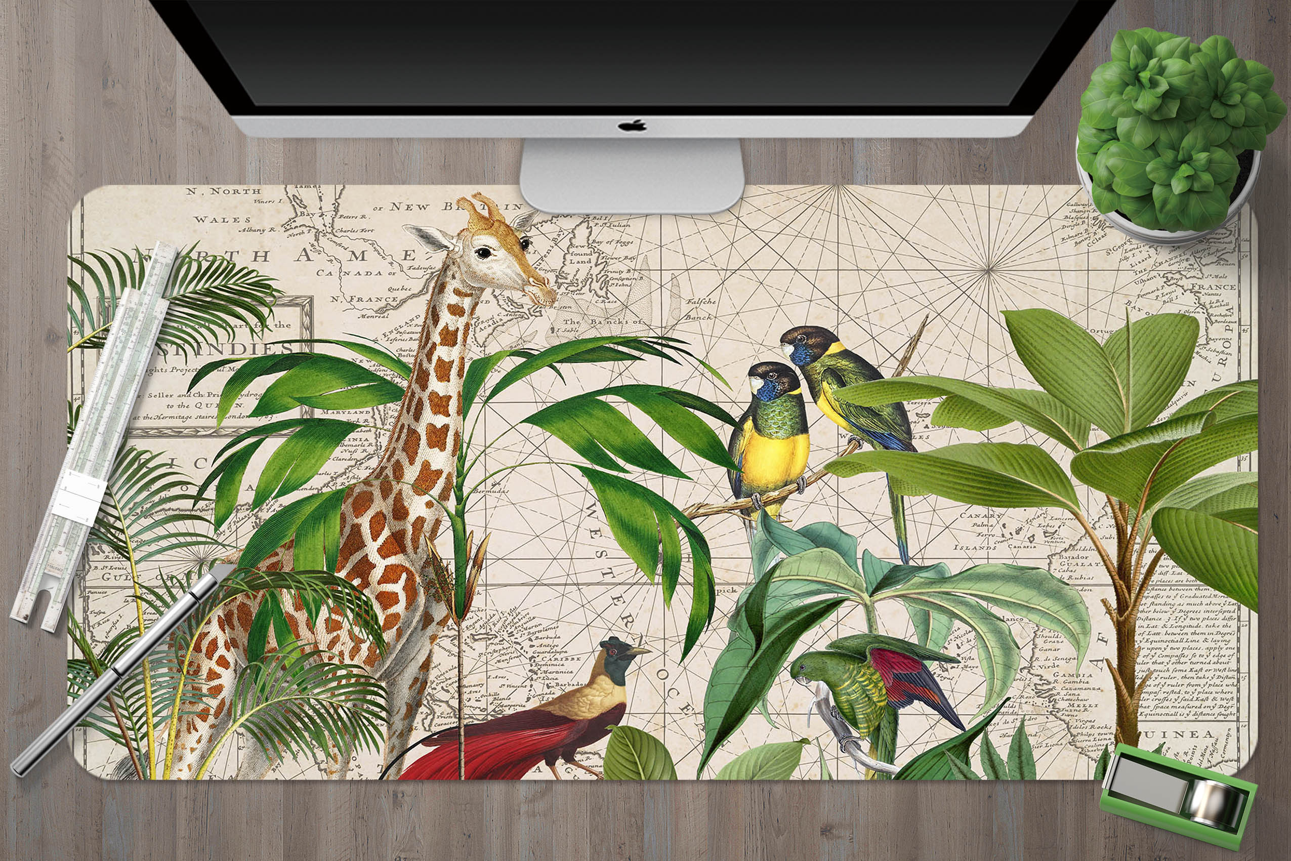 3D Animal Giraffe 5246 Andrea Haase Desk Mat