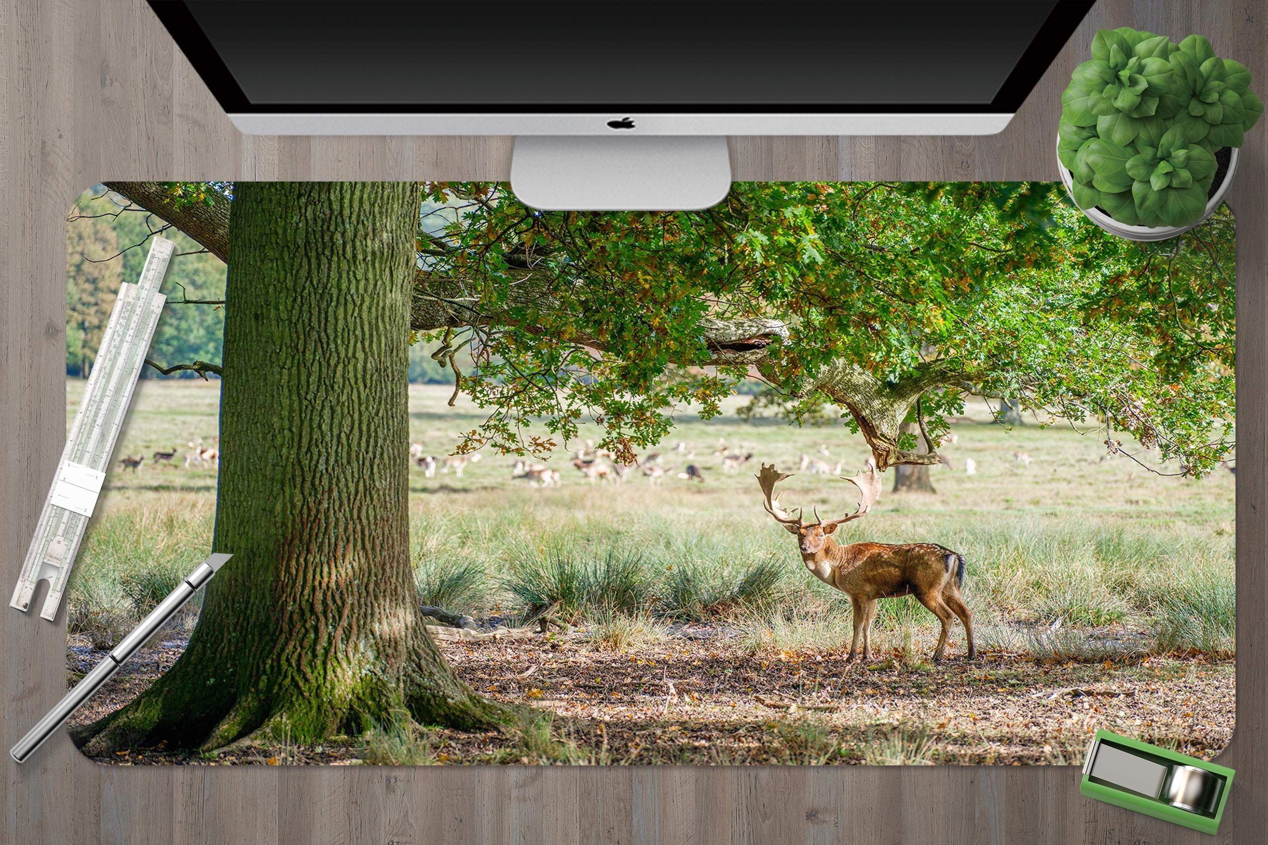 3D Big Tree Deer 12440 Assaf Frank Desk Mat