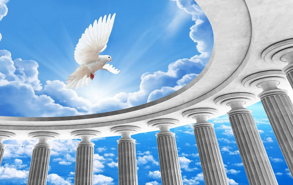 Dove And Columns Wallpaper AJ Wallpaper 
