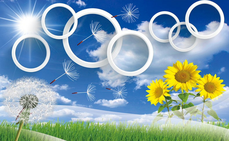 Dandelions And Sunflowers Wallpaper AJ Wallpaper 