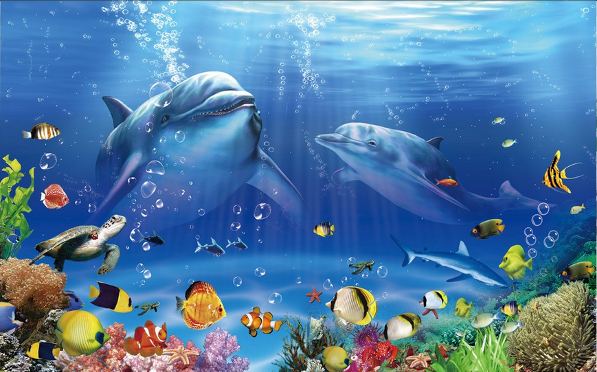 Beautiful Sea Bottom Wallpaper AJ Wallpaper 