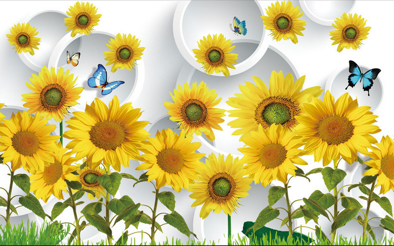 Sunflowers And Circles Wallpaper AJ Wallpaper 
