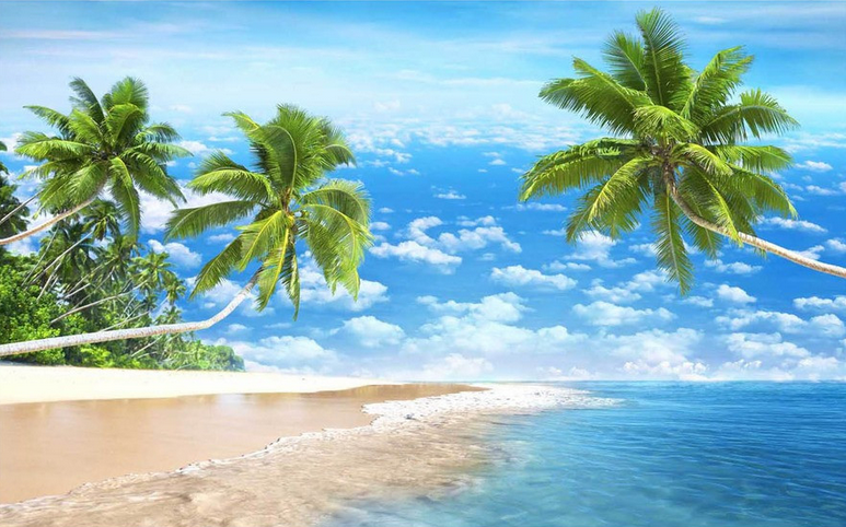 Romantic Beautiful Beach Wallpaper AJ Wallpaper 