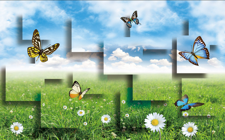 Beautiful Fresh Grassland Wallpaper AJ Wallpaper 