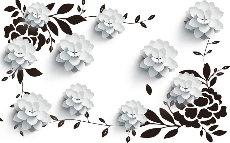 Elegant White Blossoms Wallpaper AJ Wallpaper 