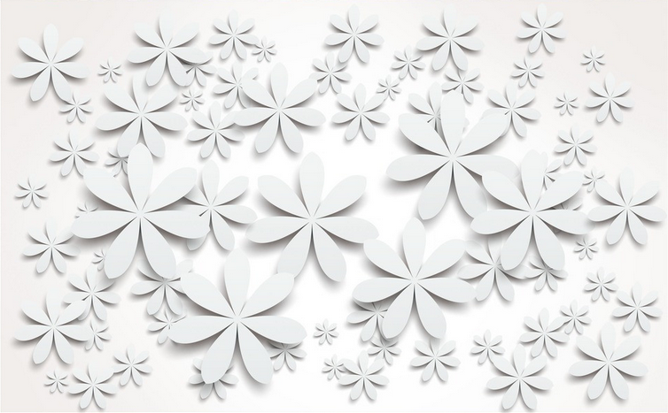 Beautiful Elegant Flowers Wallpaper AJ Wallpaper 