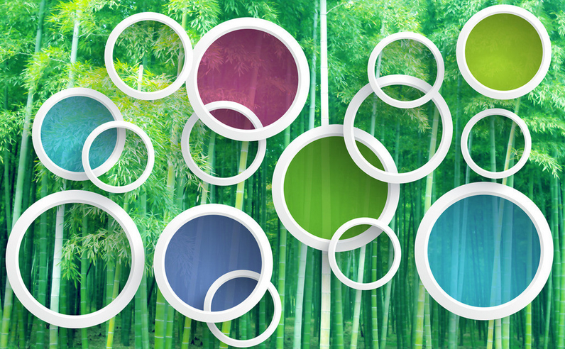 Bamboo Forest And Circles Wallpaper AJ Wallpaper 