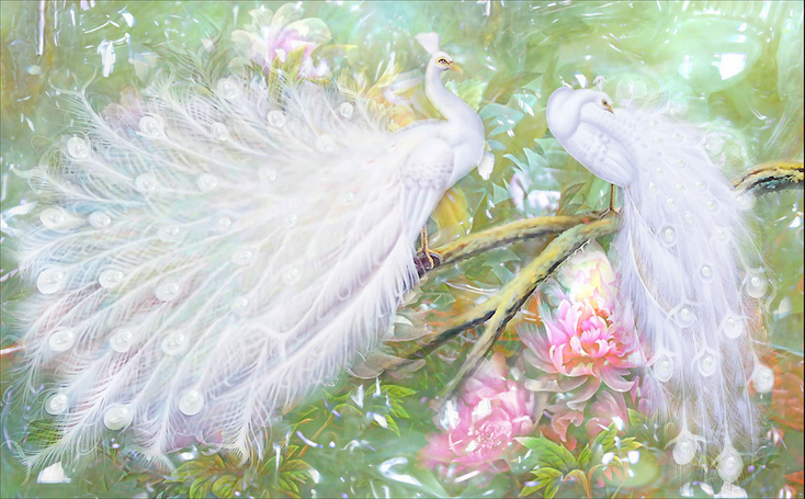 White Peacocks Wallpaper AJ Wallpaper 