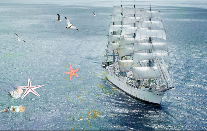 3D Sea Sailing Ship And Birds Wallpaper AJ Wallpaper 1 
