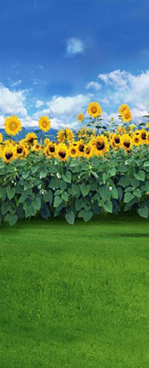 3D sunflower field field heaven door mural Wallpaper AJ Wallpaper 