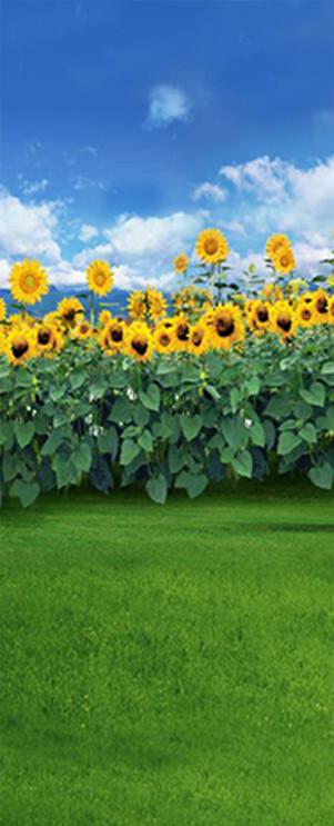 3D sunflower field heaven door mural Wallpaper AJ Wallpaper 